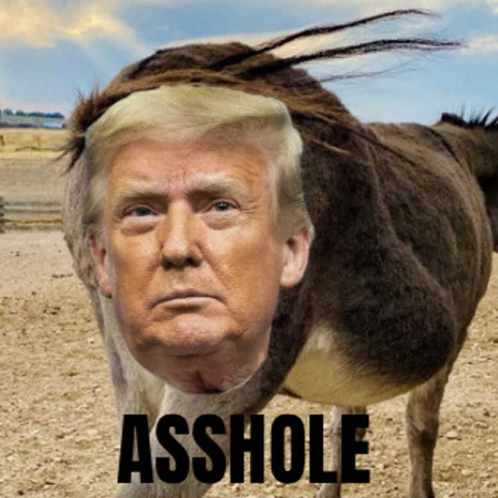 Arsehole Trump