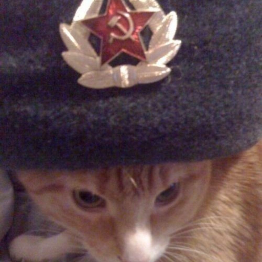 thai☭