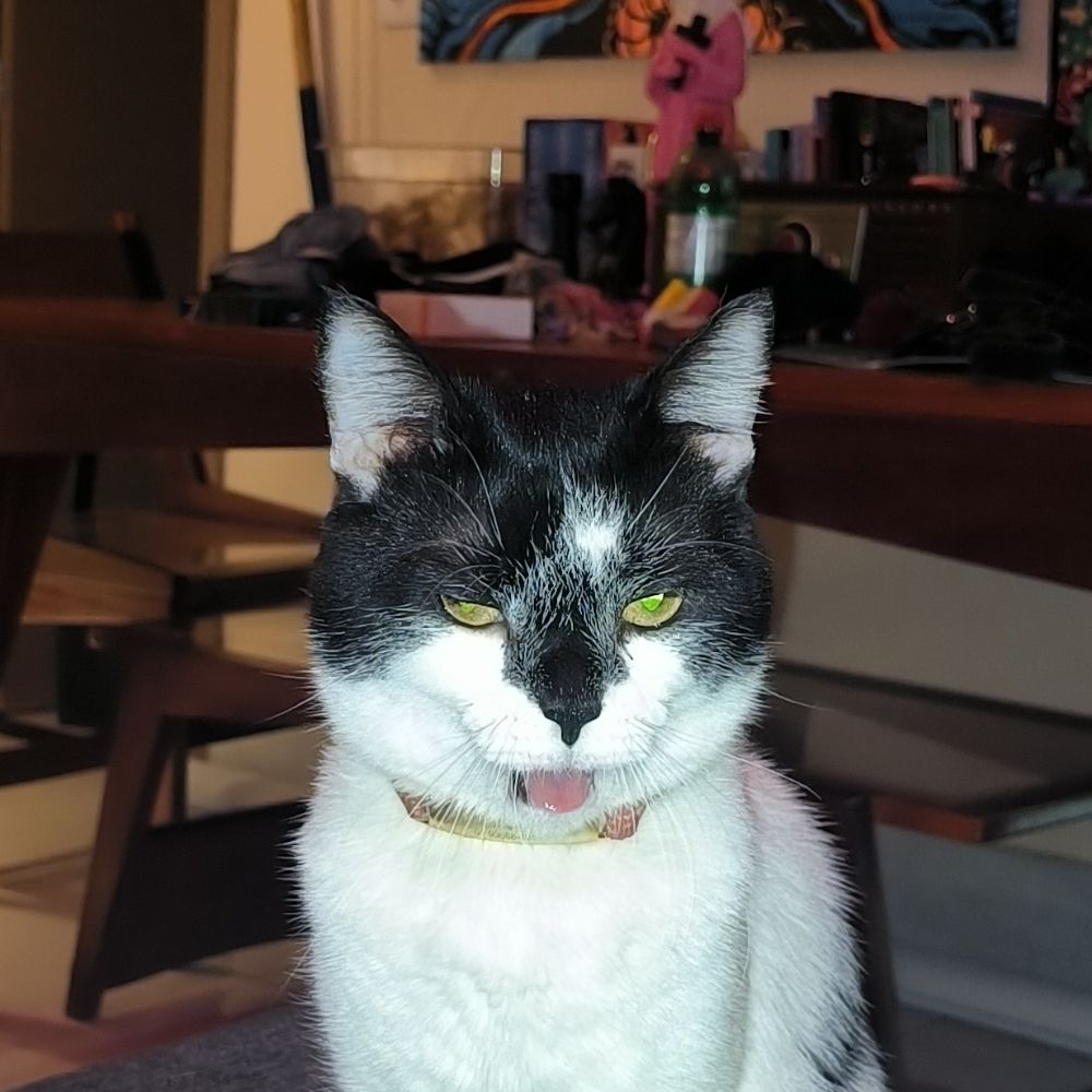 Ju