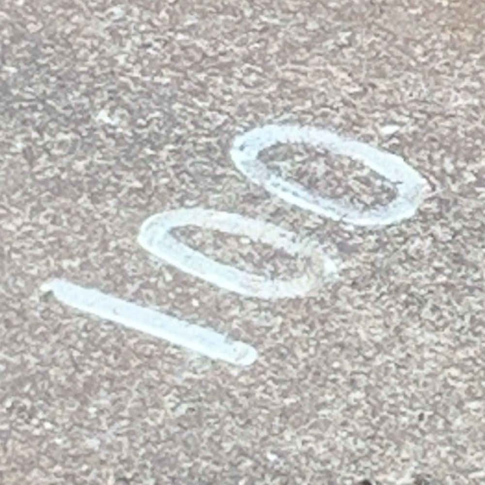ねぎ