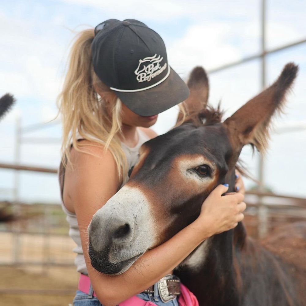 outbacktailsrescue