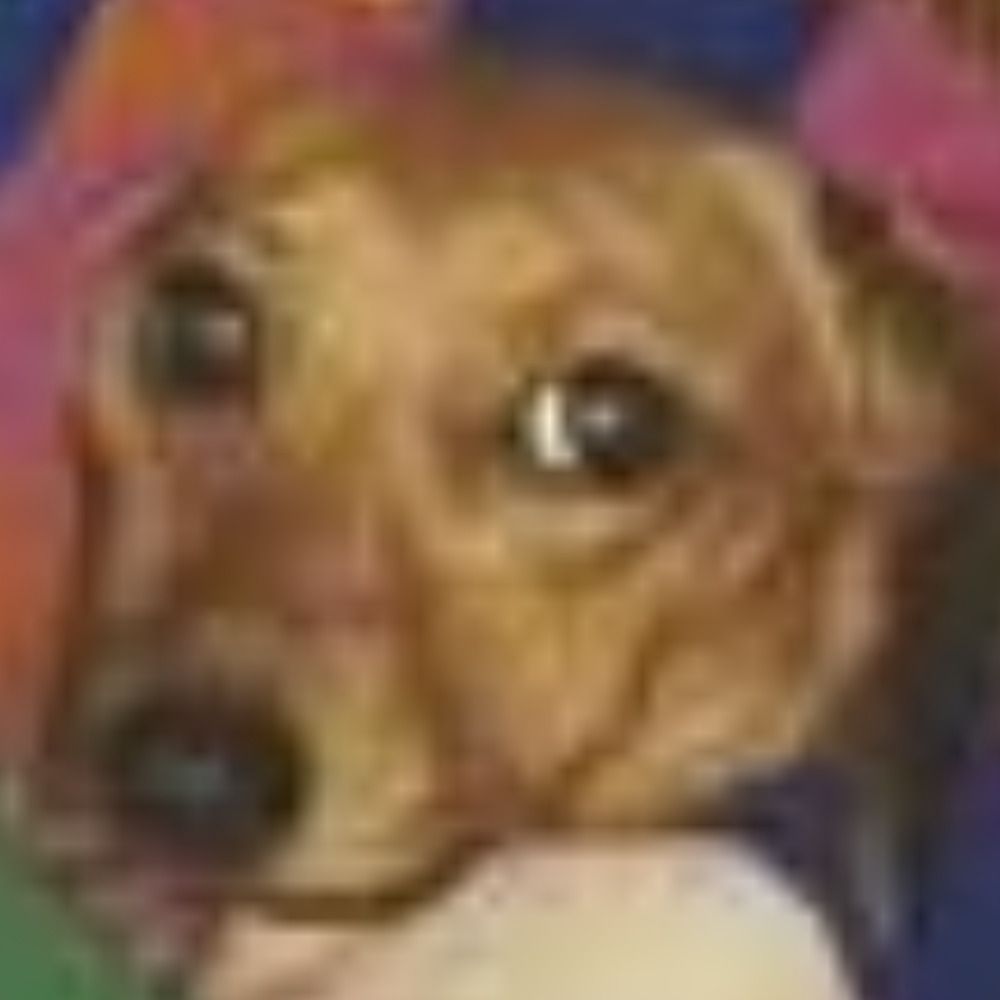 Erik