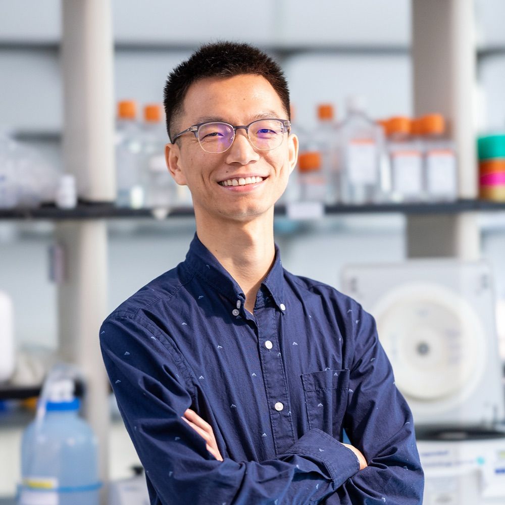Nan Zhang