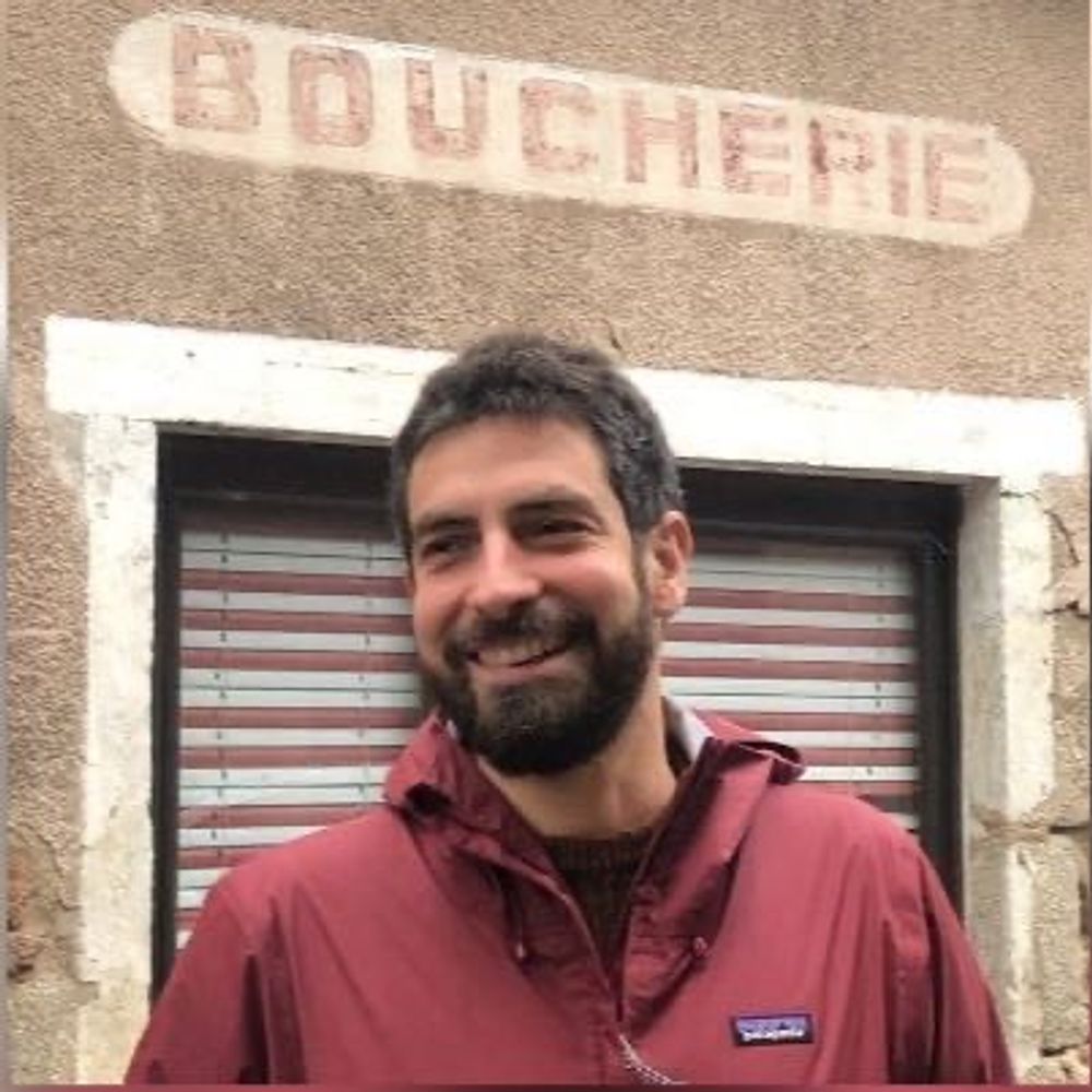 Robin d'Angelo