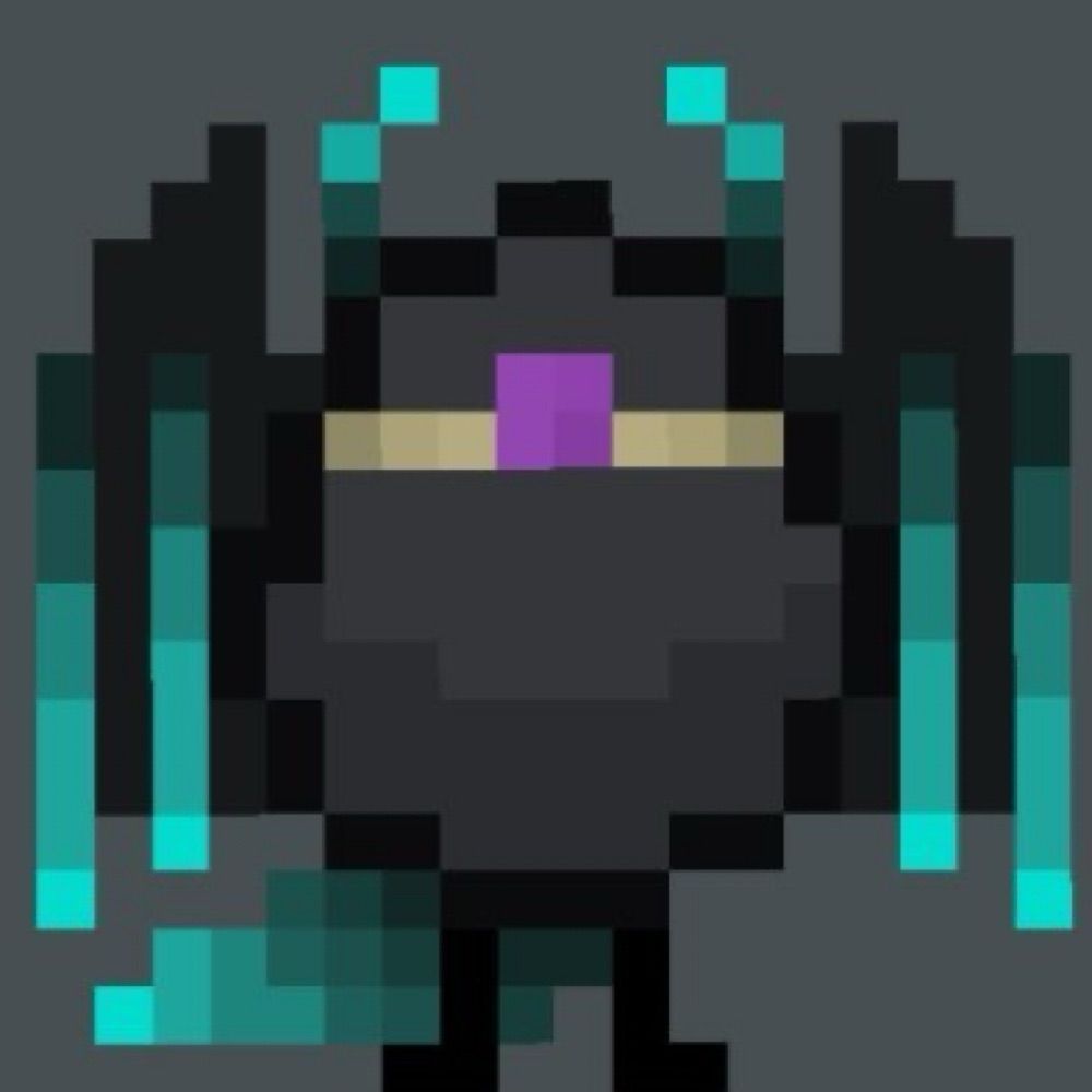 Echo