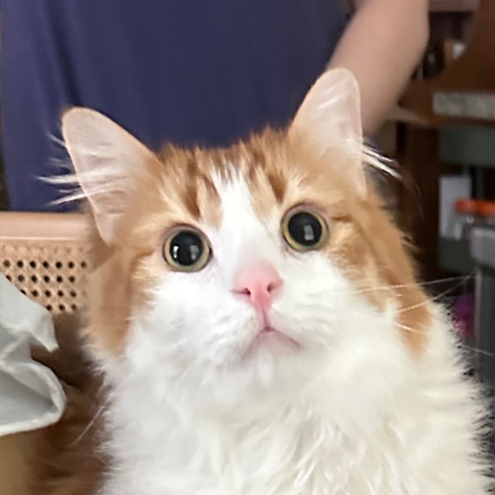 Fritz