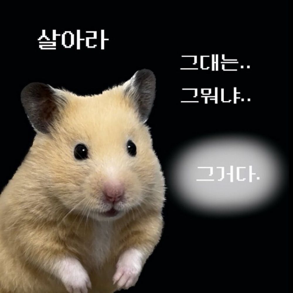 쿠치쨩