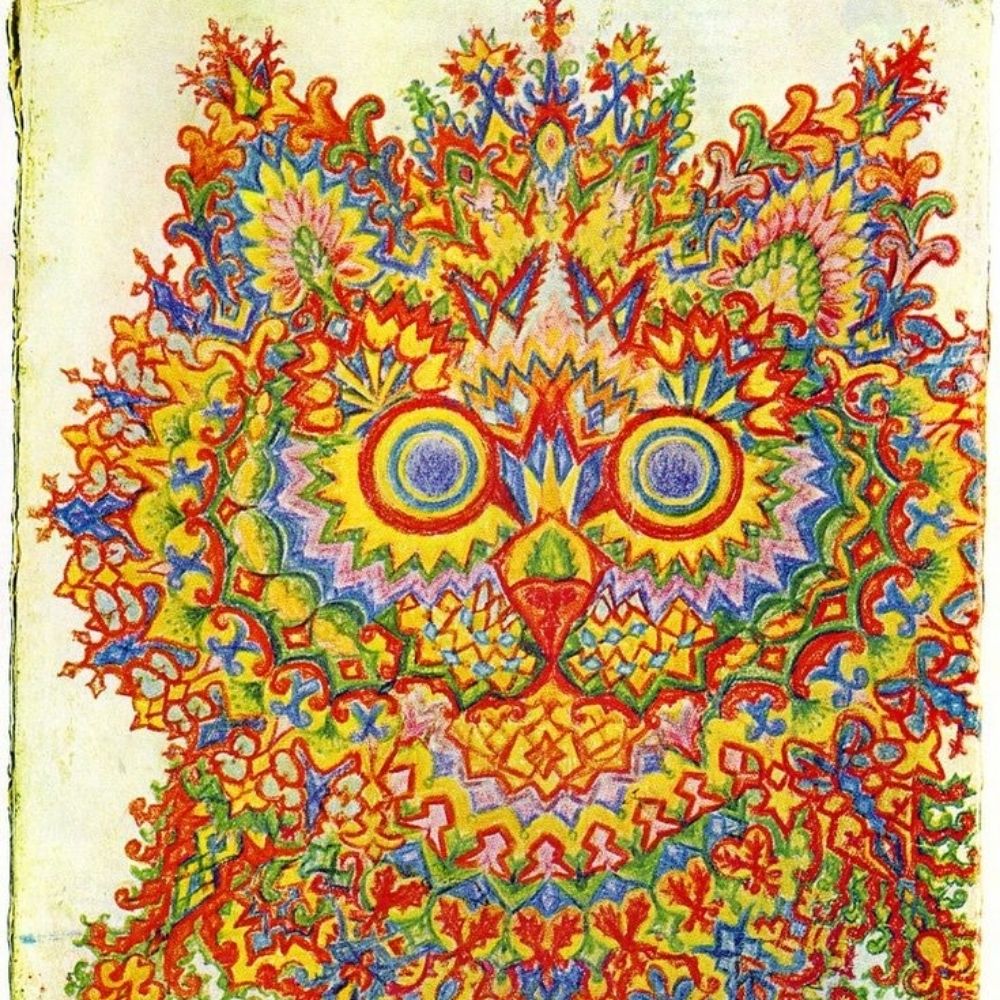 Gamma Ray Cat