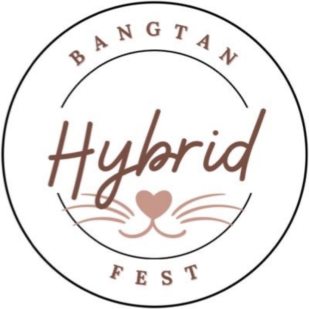 ⋟ BTS Hybrid Fest ≼