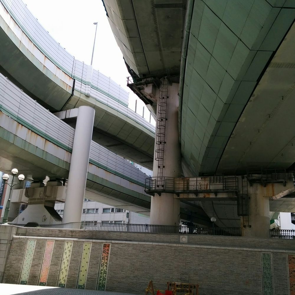 鮒茸（ふなたけ）