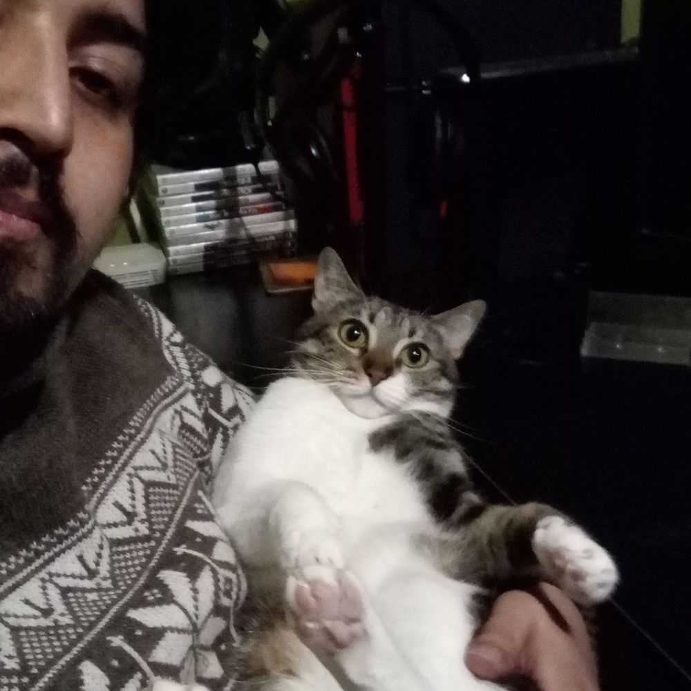 Tecolote
