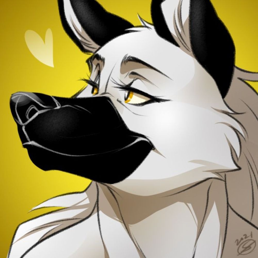 Iridium Wolf's avatar