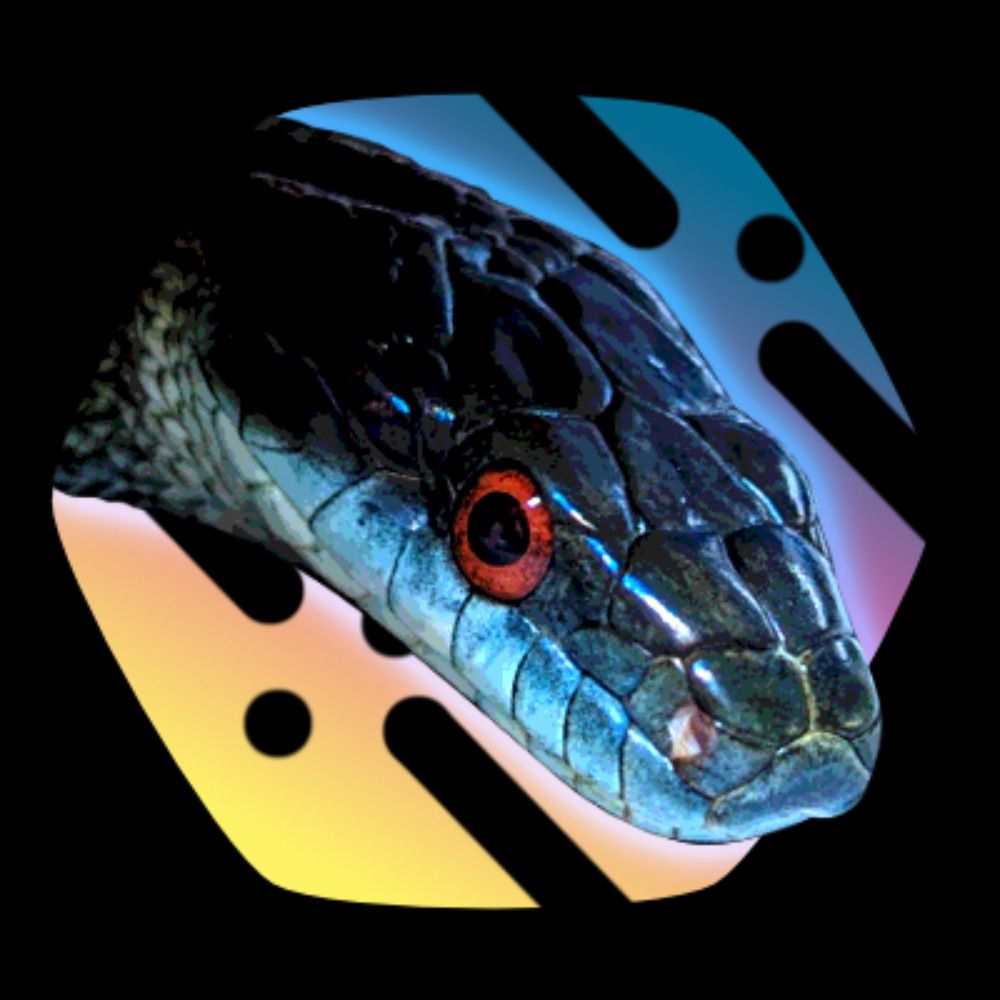 🐍くちなわあそび🐍
