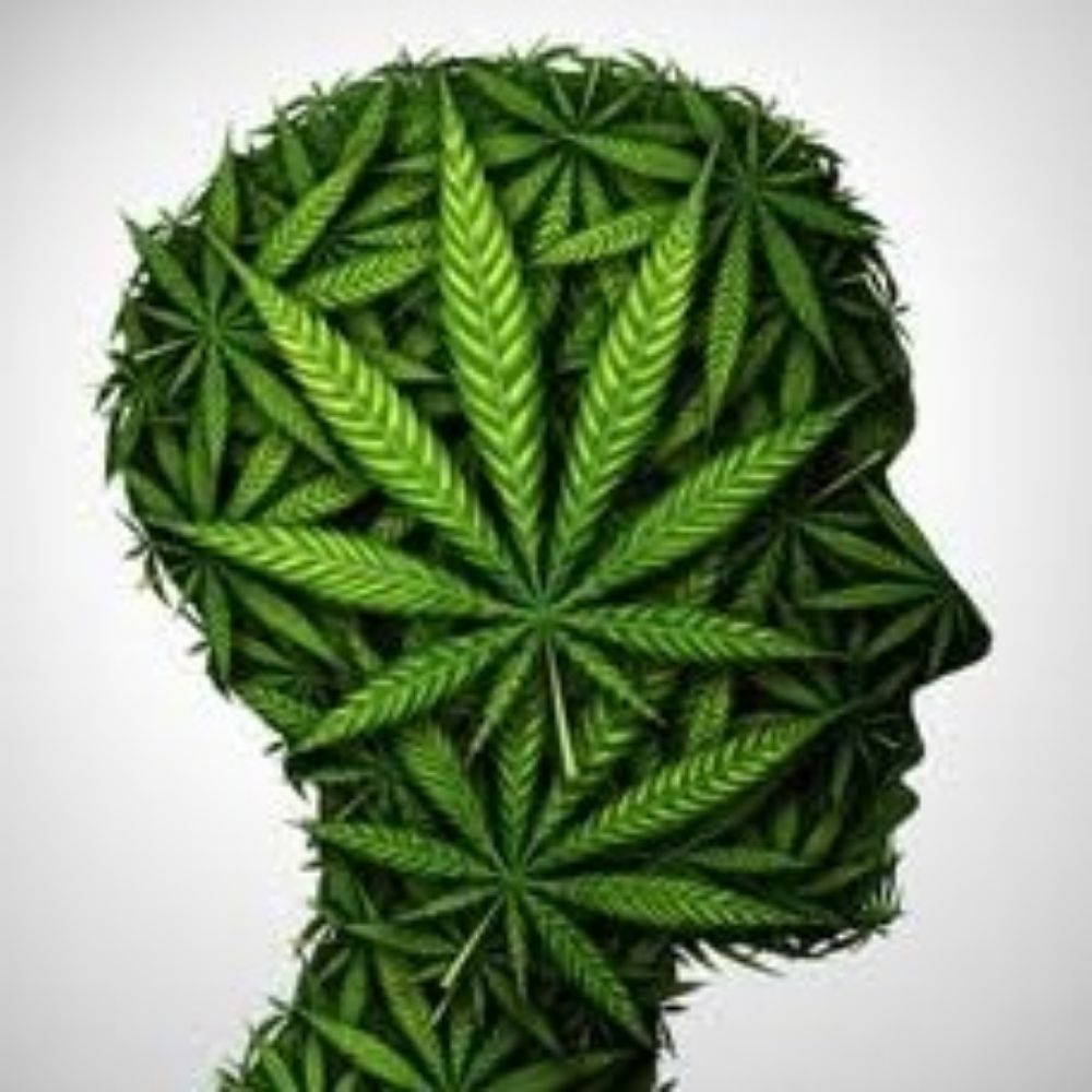 MaconhaLover123