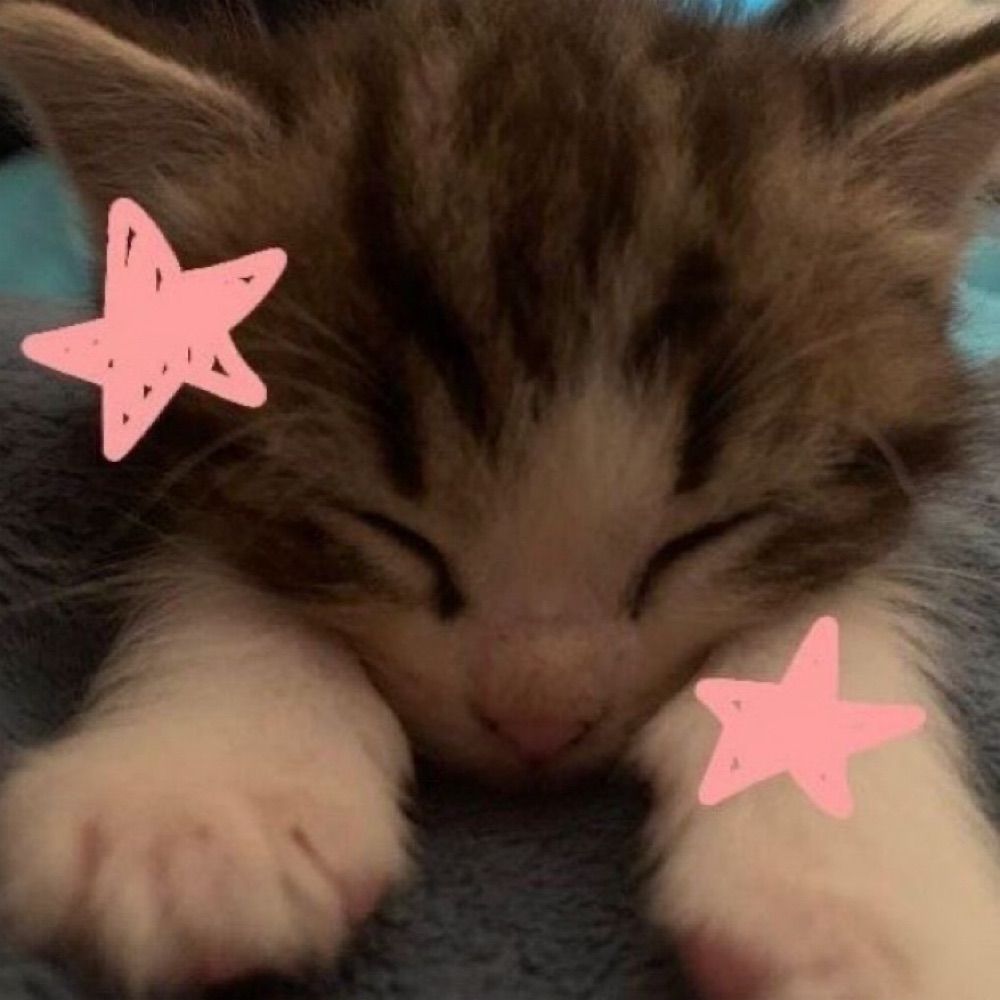 moki