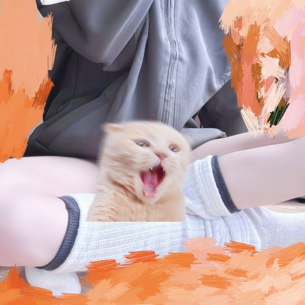 ねこ