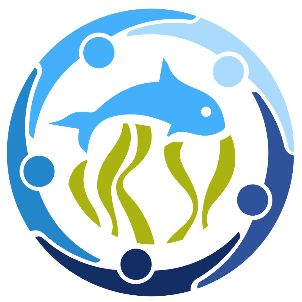 BioEcoOcean