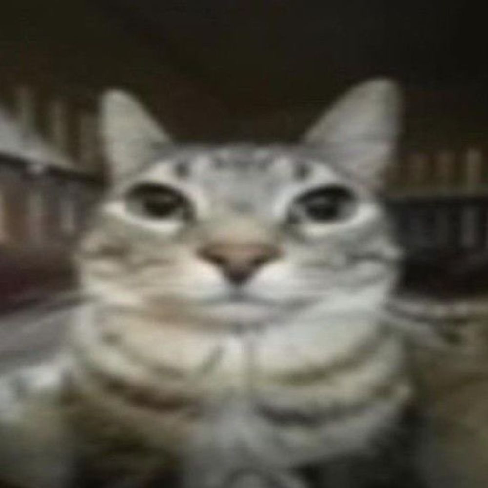 jojoão