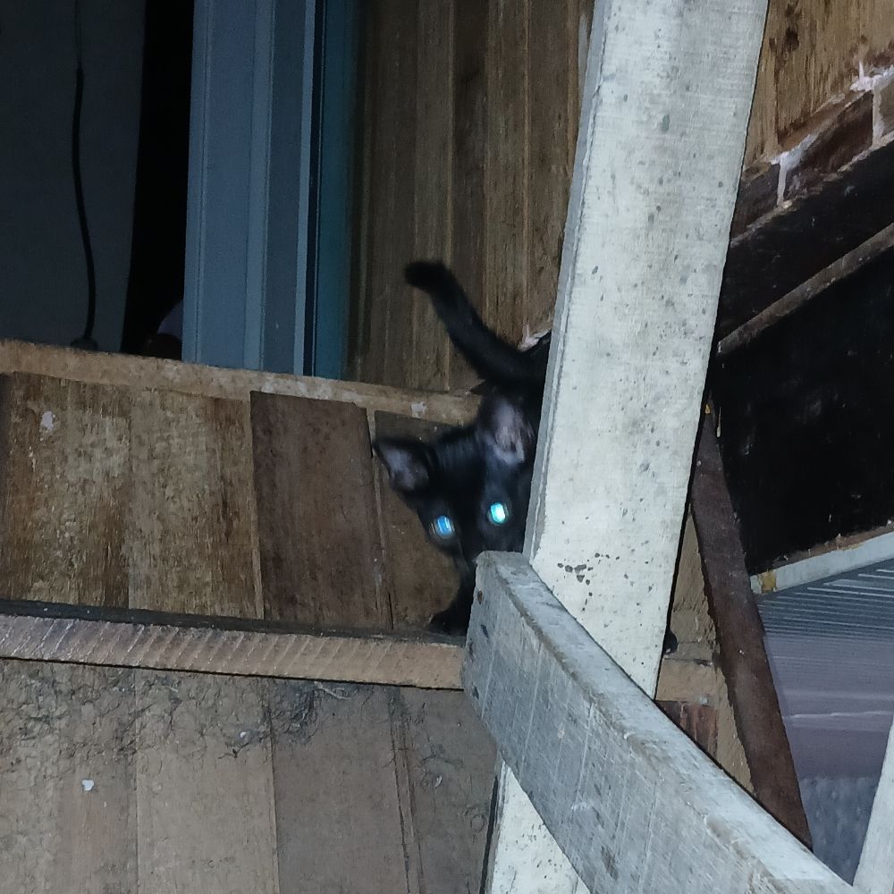 ?