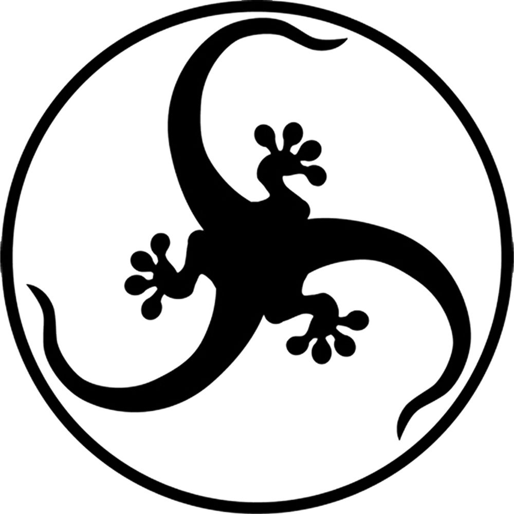 Disco Gecko Recordings