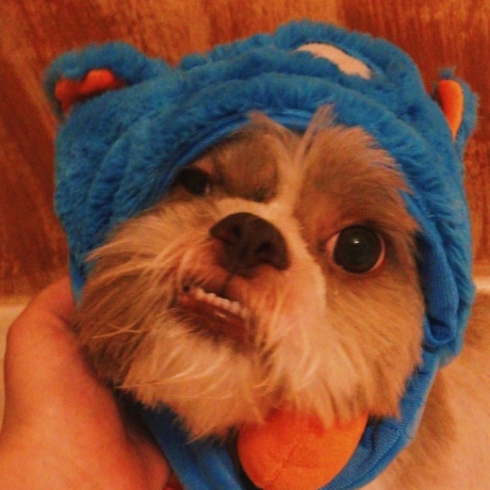 Falapa 