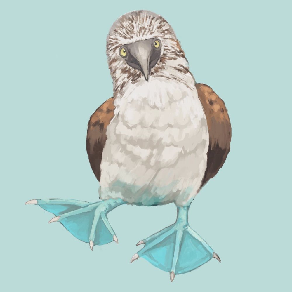 ヨシタカユキコ