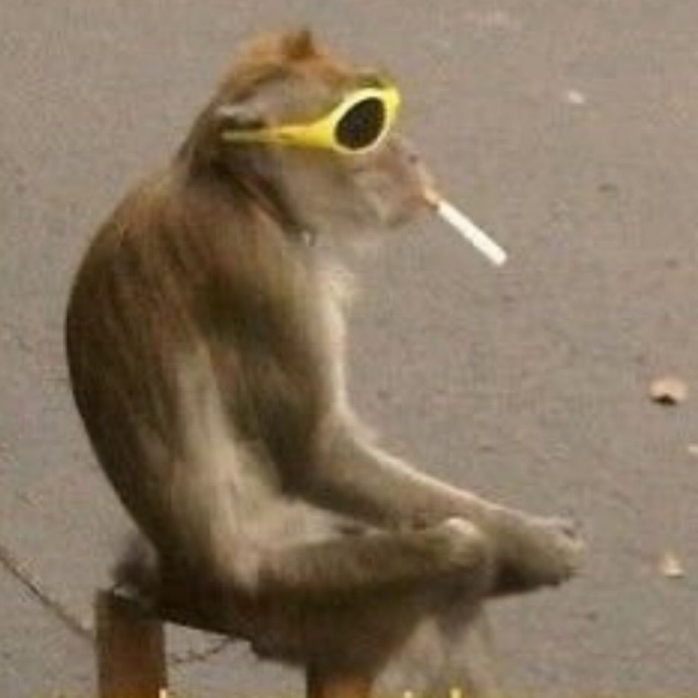 Chico marola