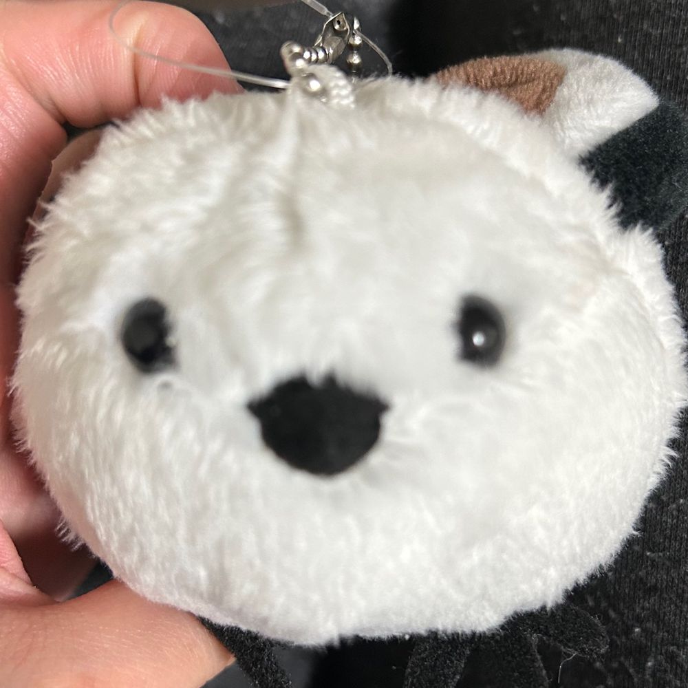 すぴるこ