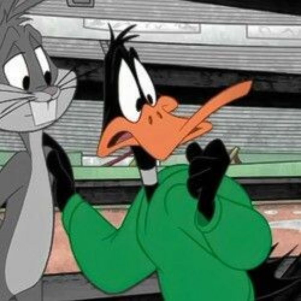 🦆;;sas