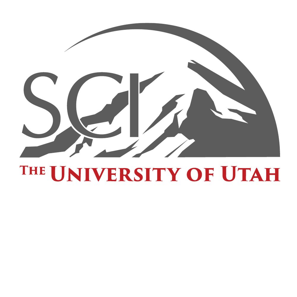 Scientific Computing and Imaging Institute