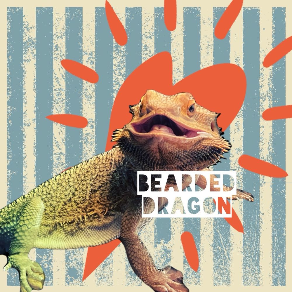 ひぃ🦎🐁