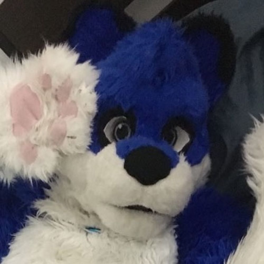 Cinux Husky