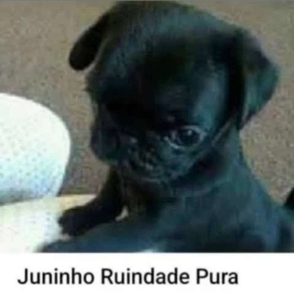 Juninho Ruindade Pura