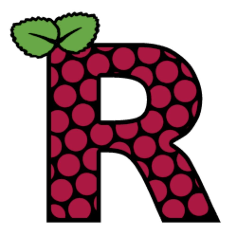 R4Pi