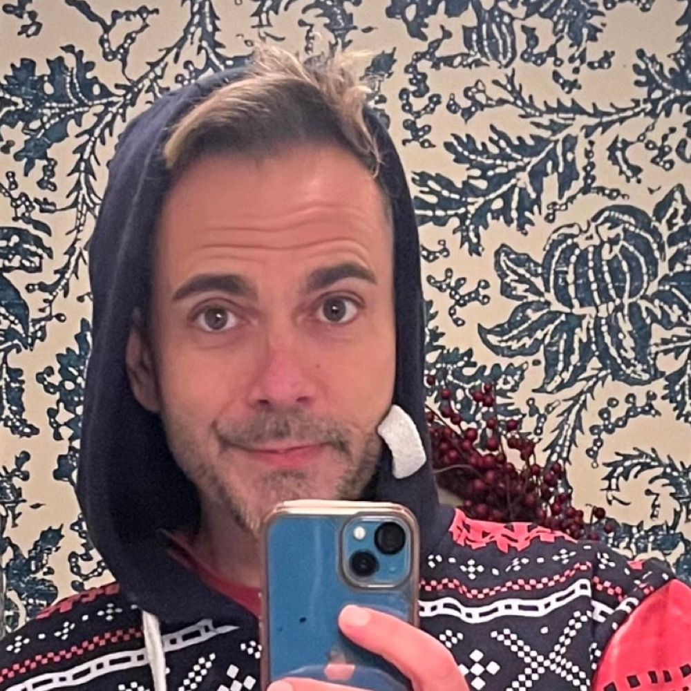 Ant