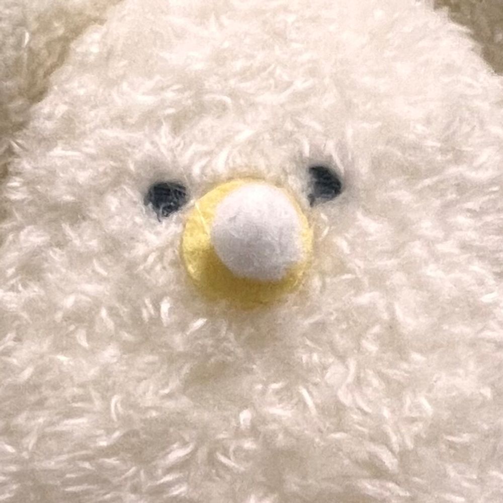 史木🐣固定通販