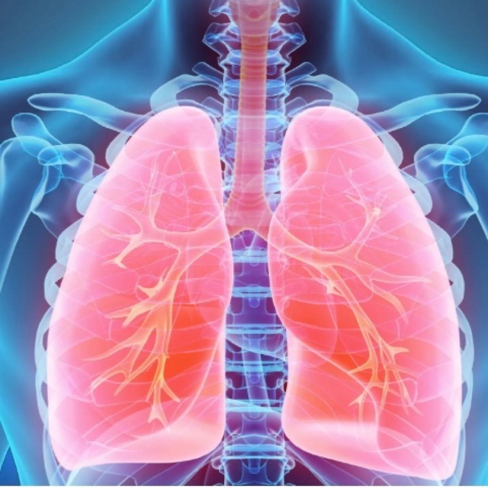 Respiratory Epidemiology Imperial