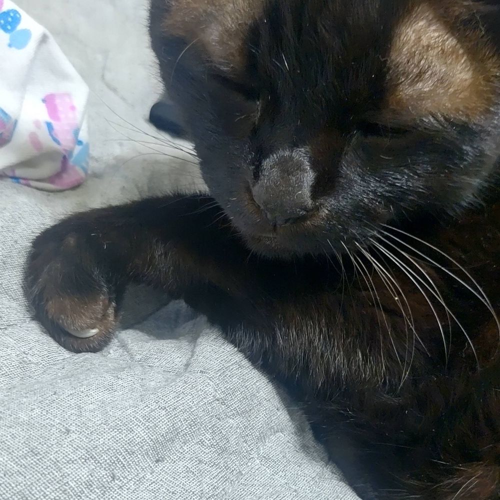 mi