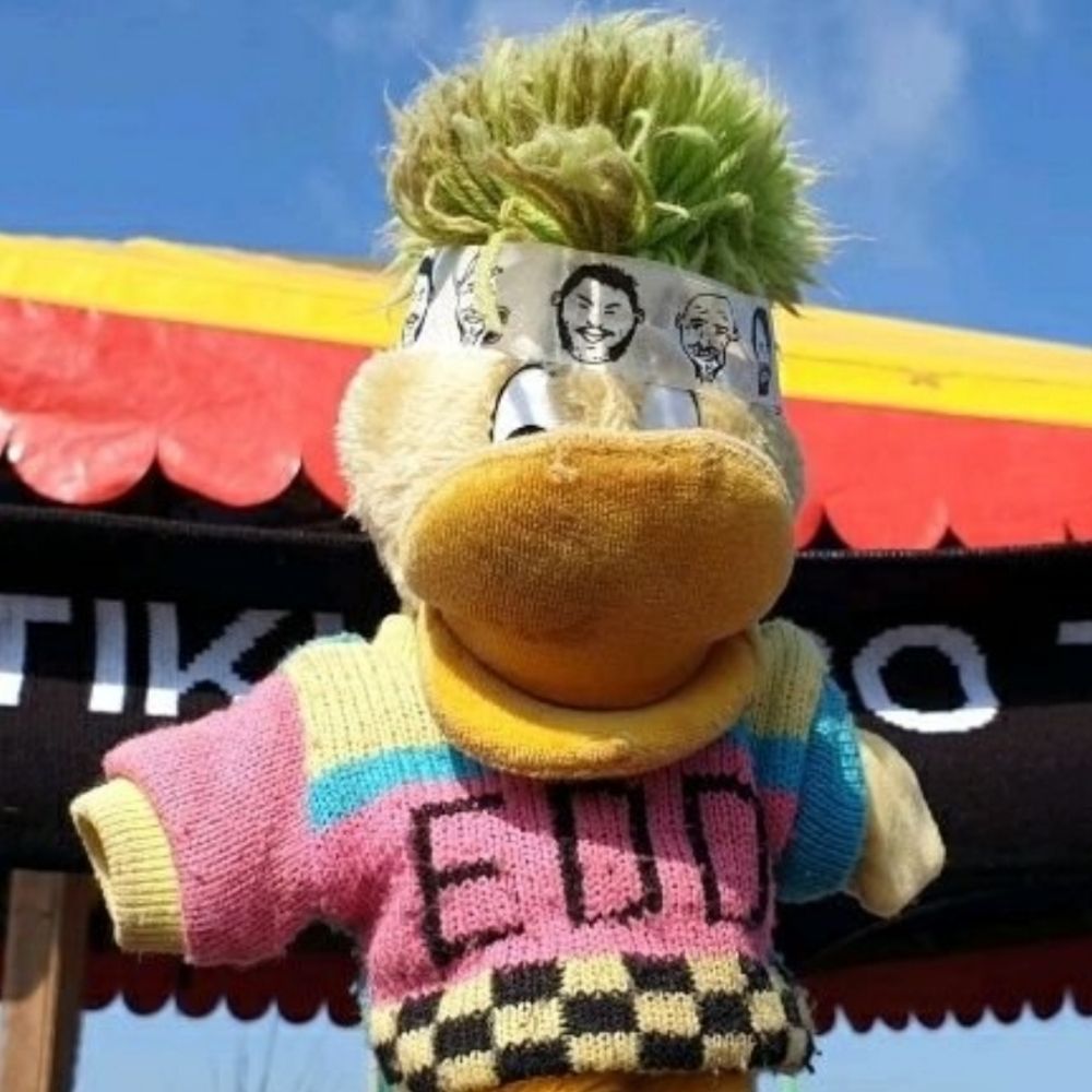 Glasto Edd the Duck 🐥💚