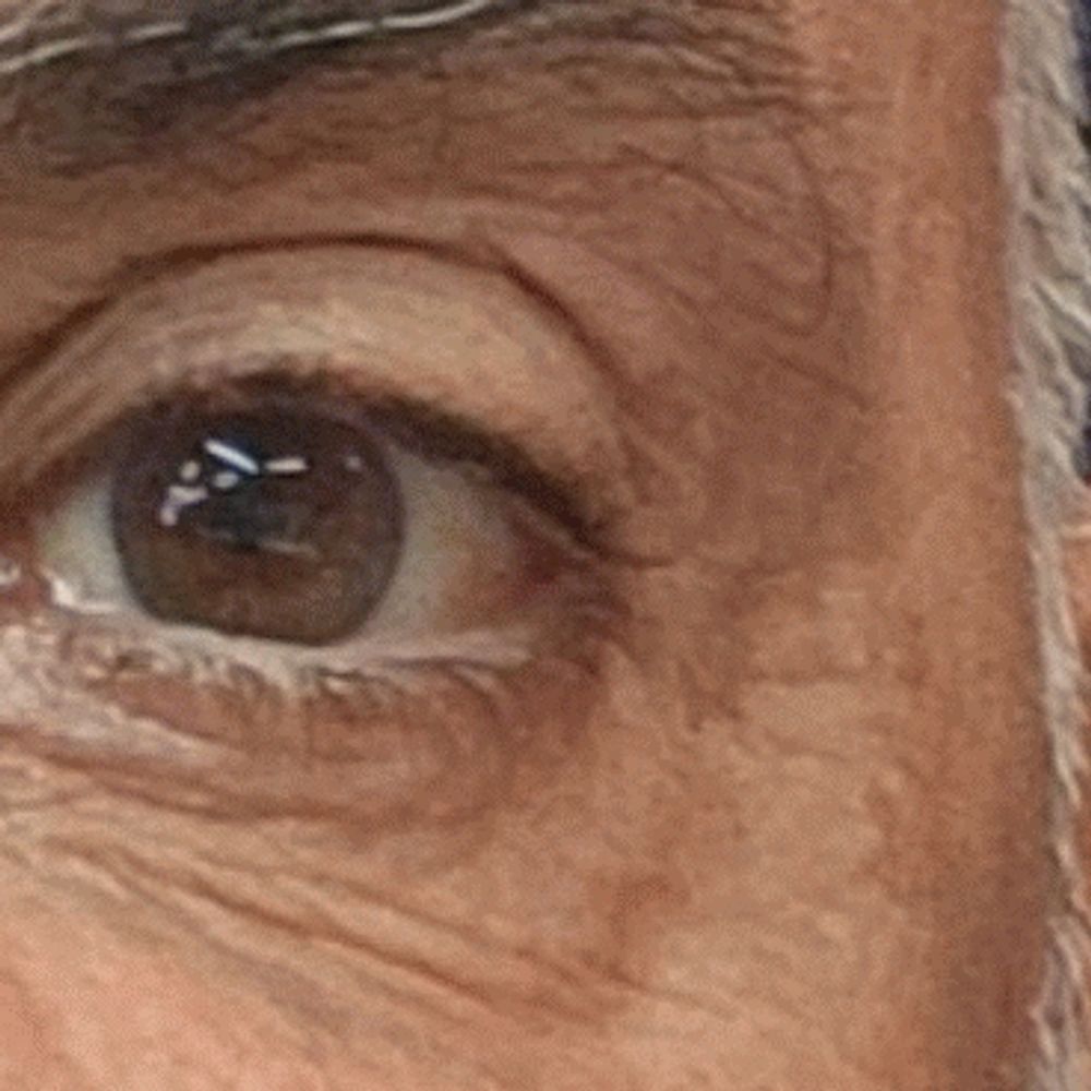 Kalehle
