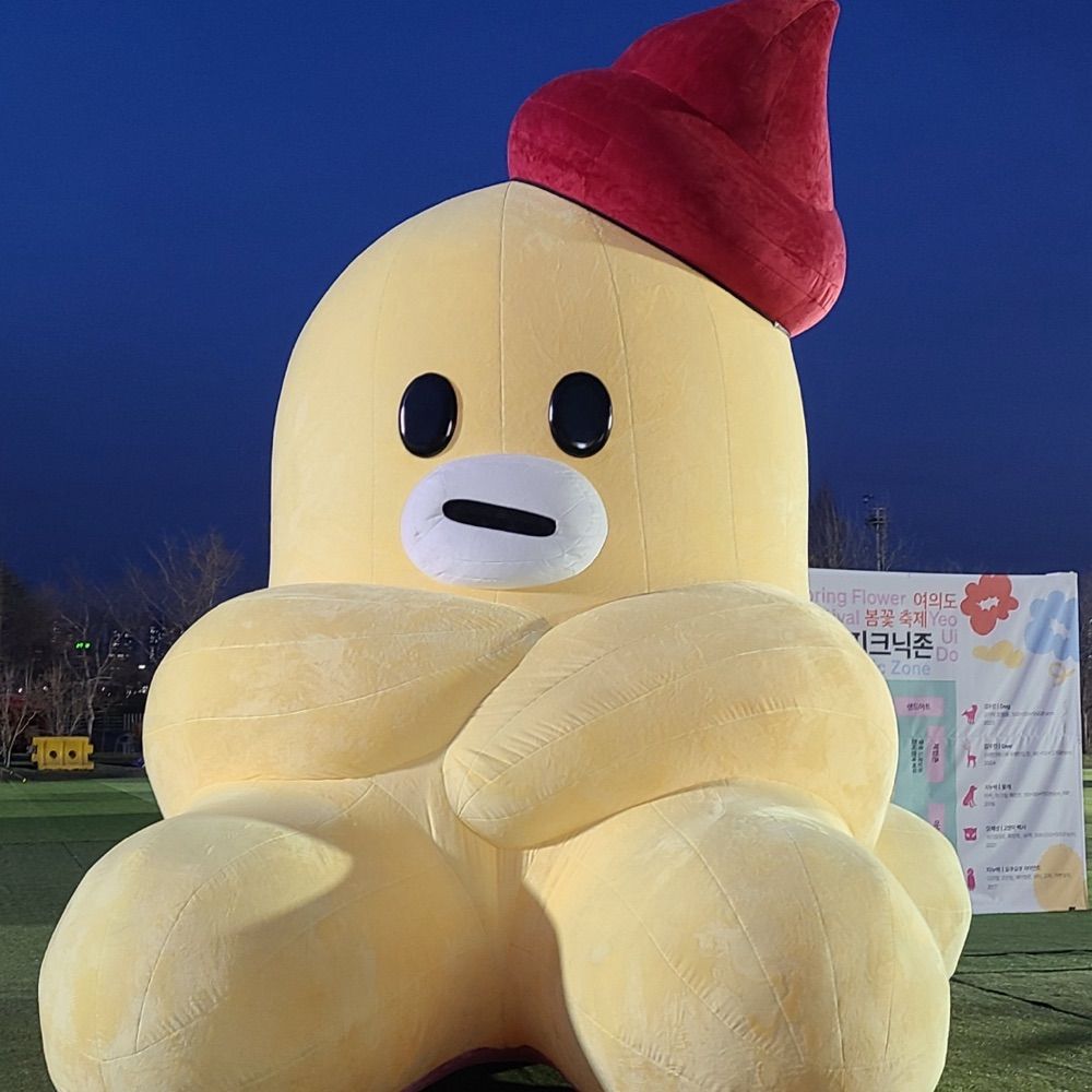 두부