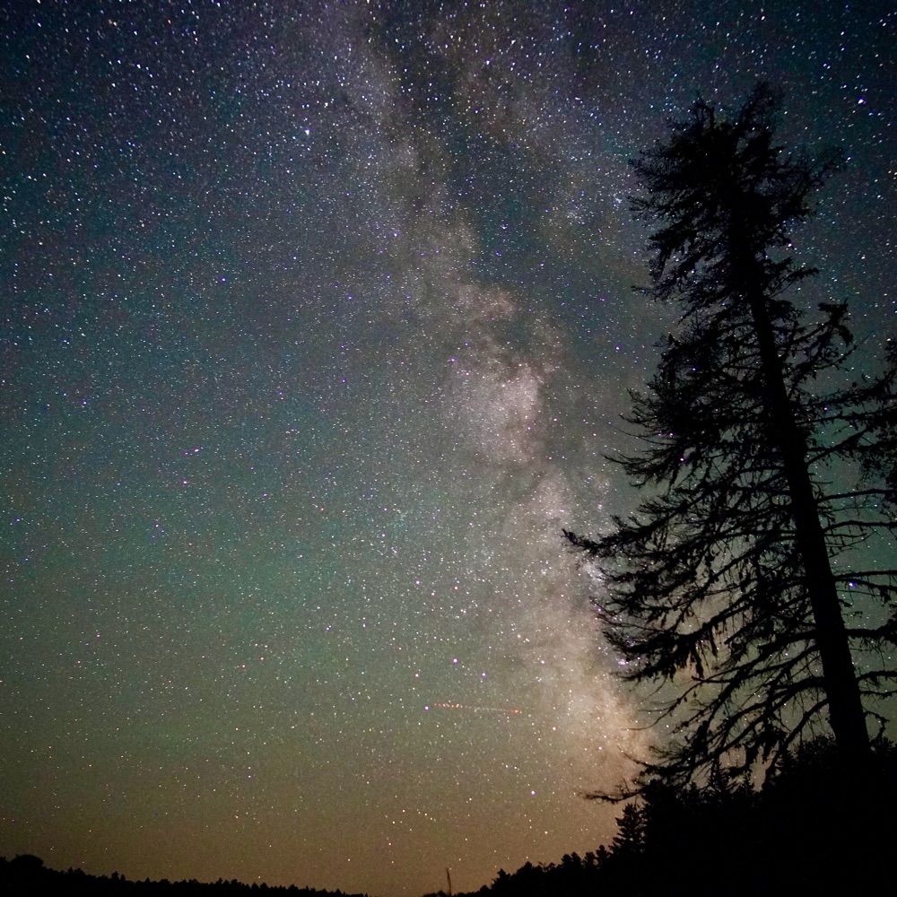 Janice Lind Photography