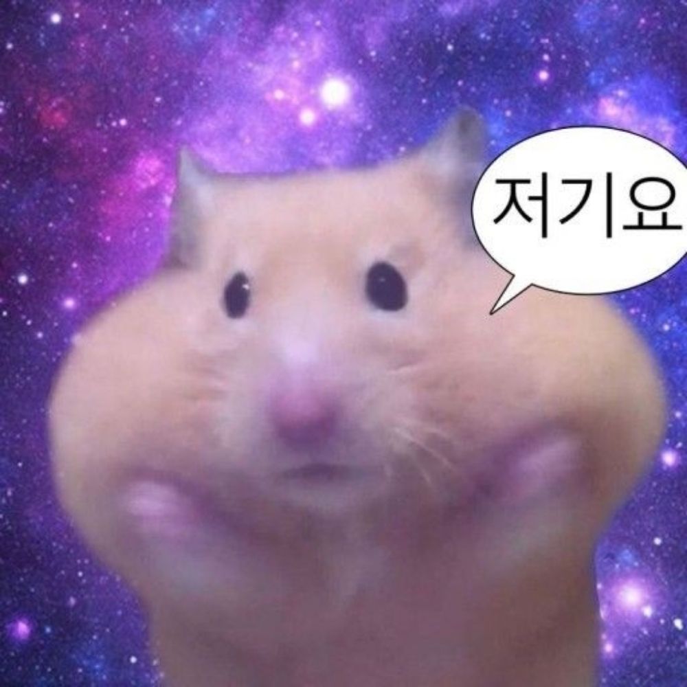 홍장군
