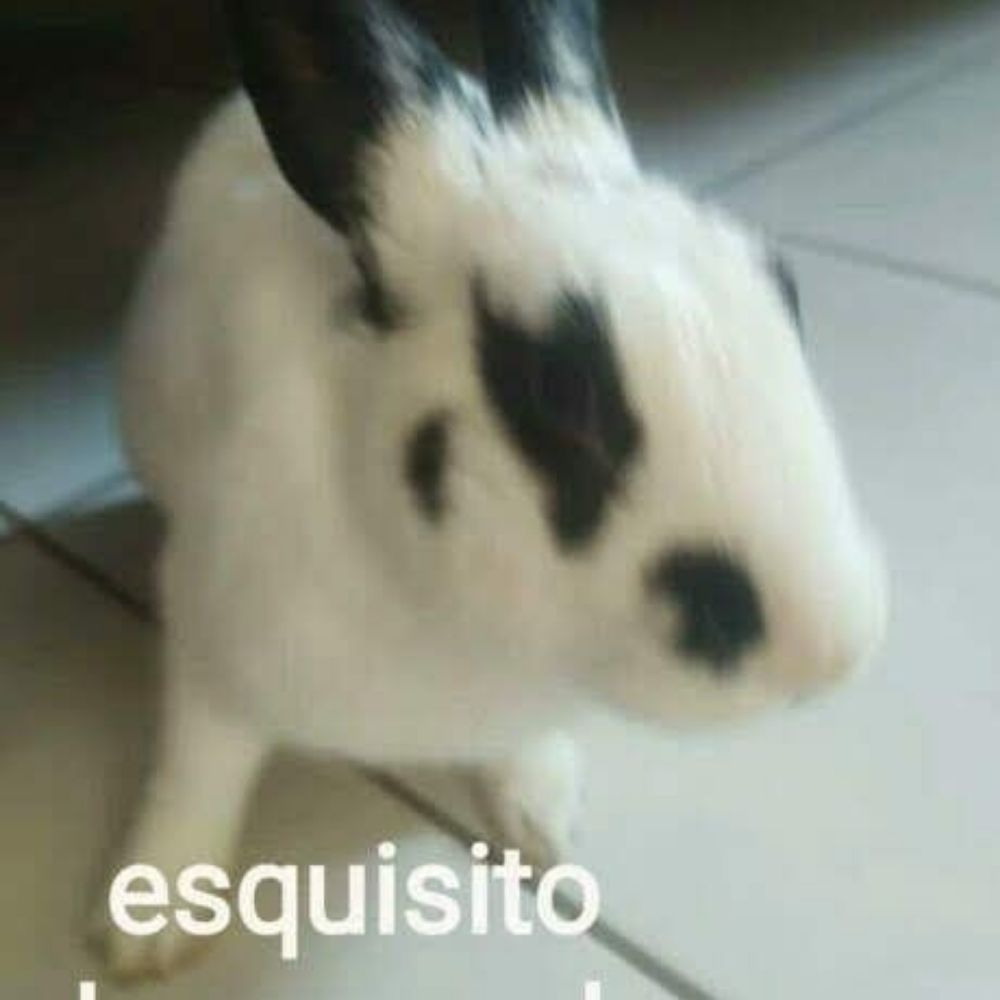 esquisita degenerada
