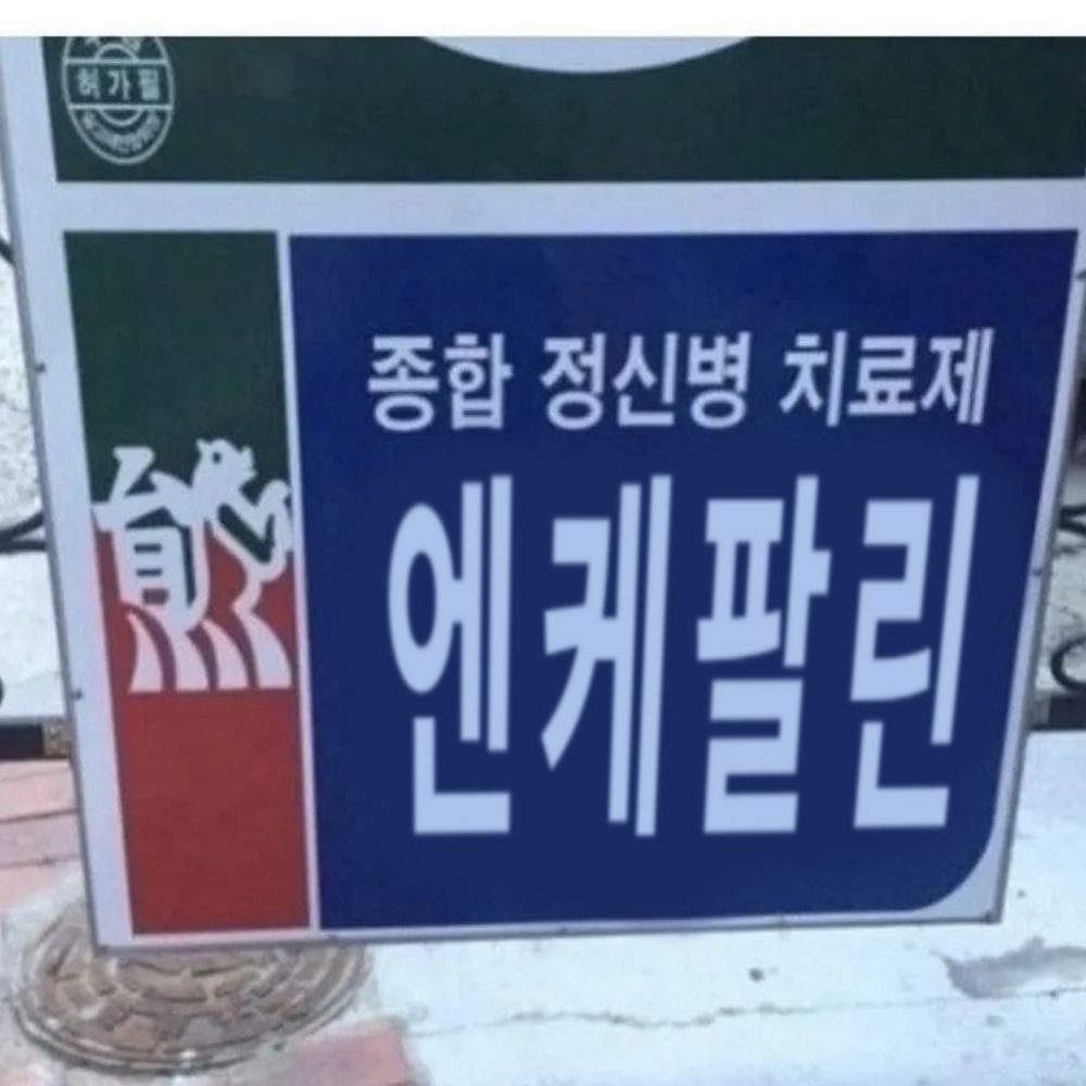 김모