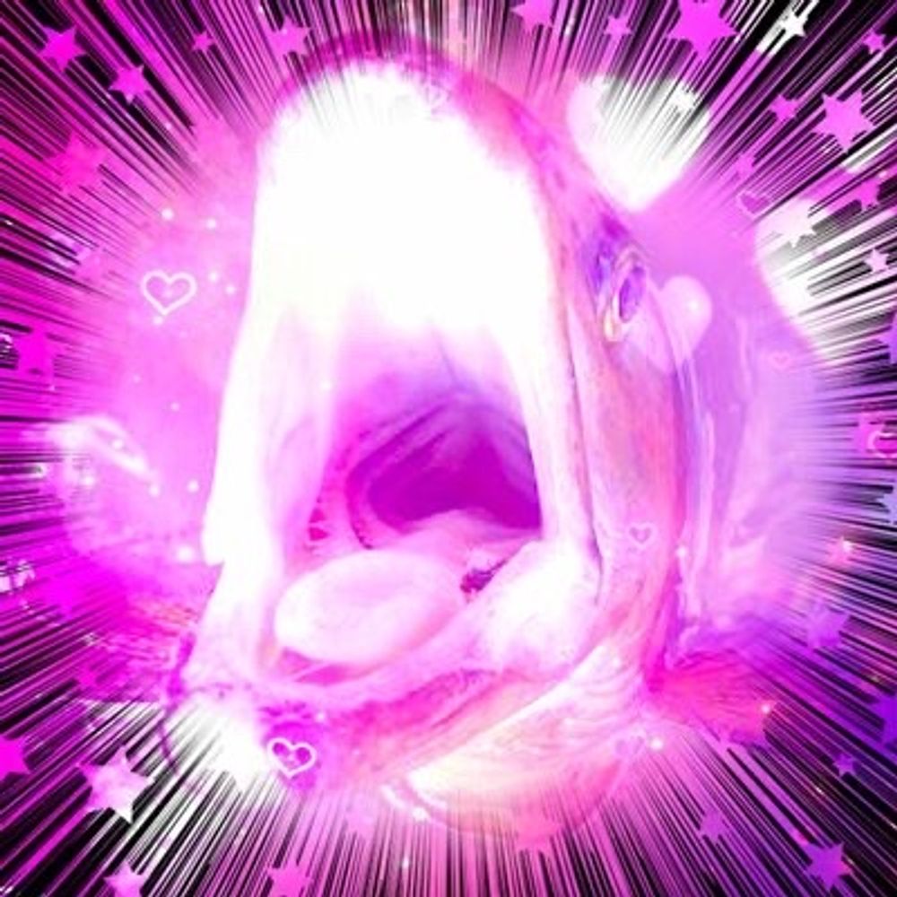 ドクダミ茶