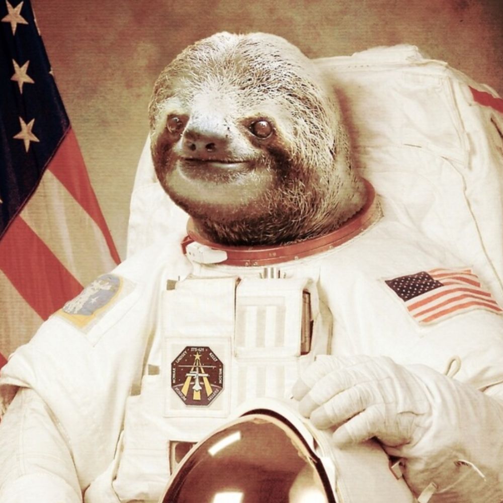 allonaut