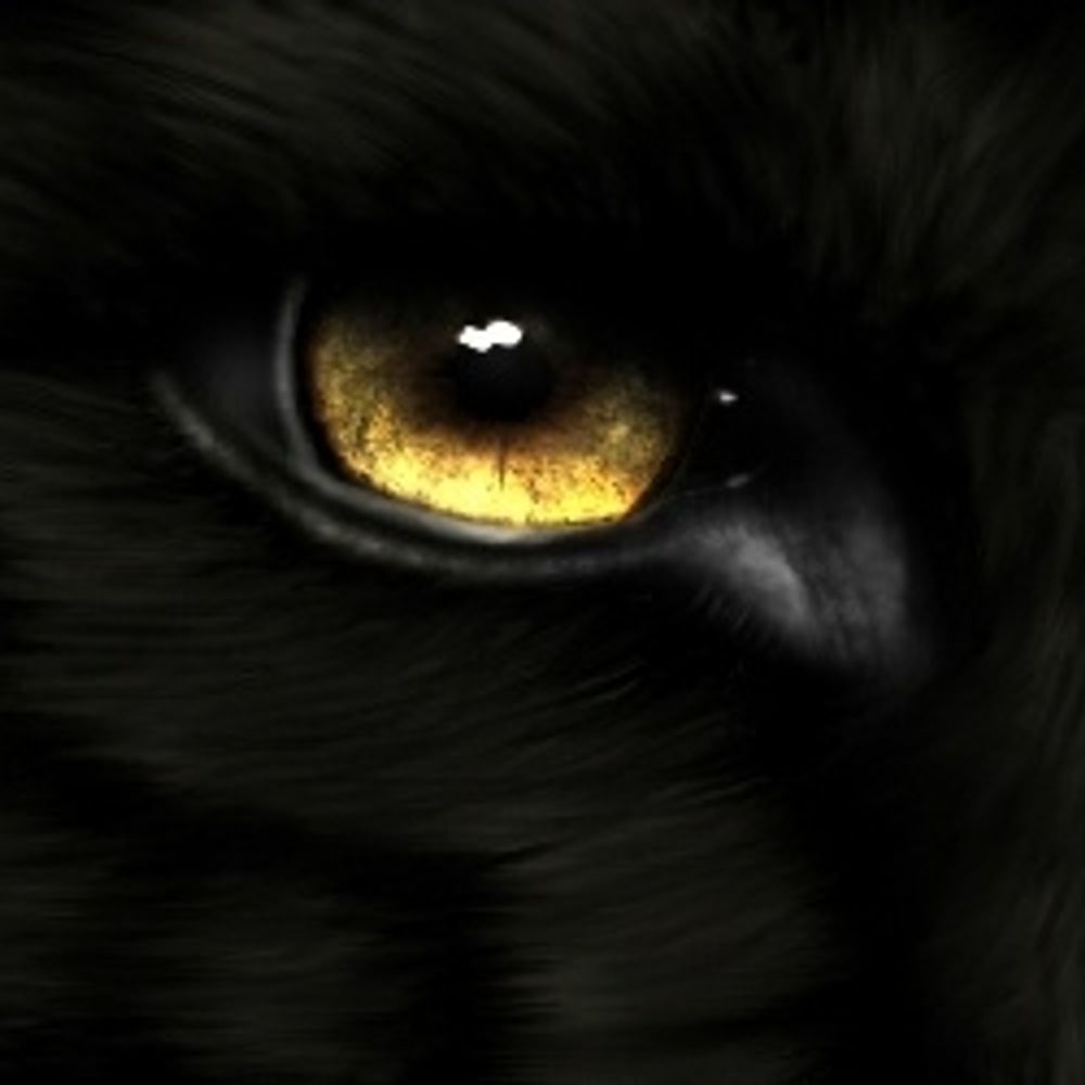 Wolfofthenightt's avatar