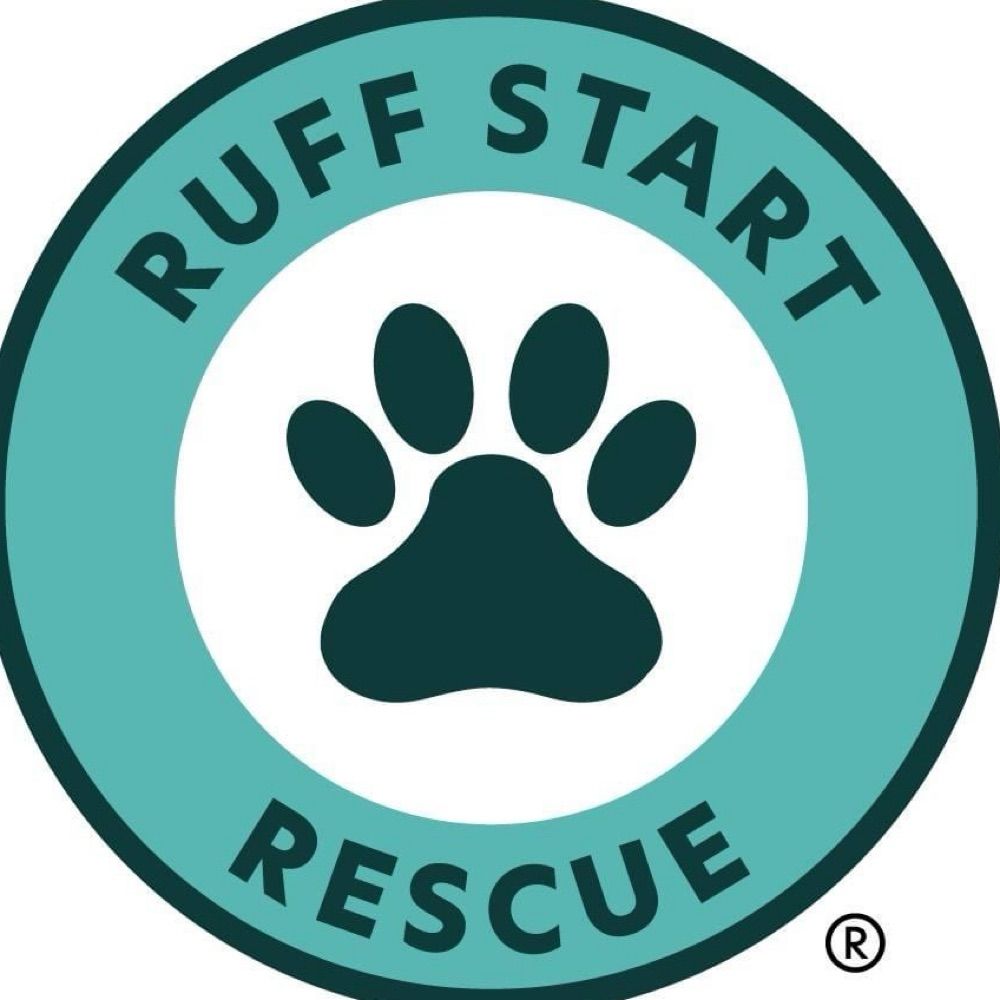 Ruff Start Rescue