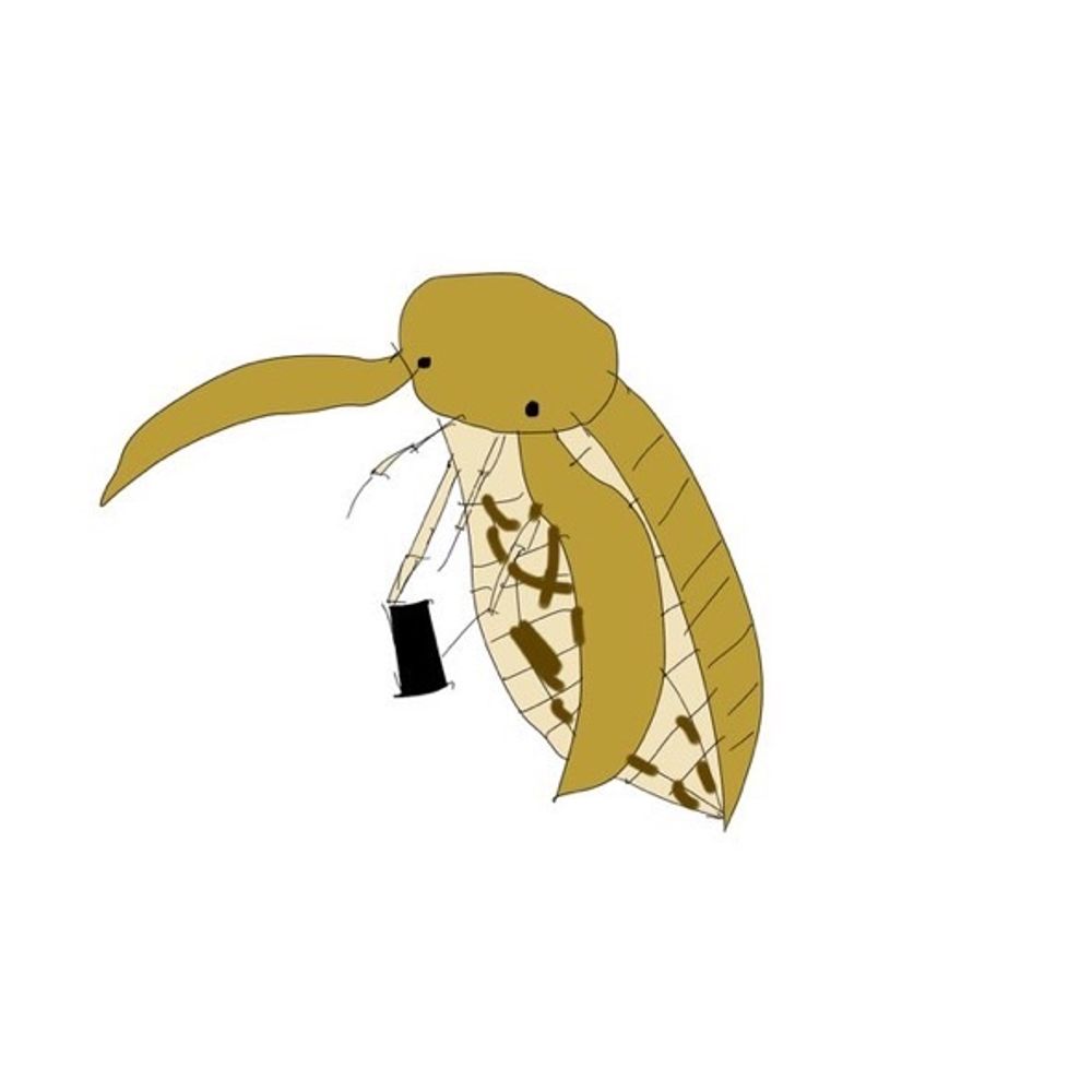 イデ